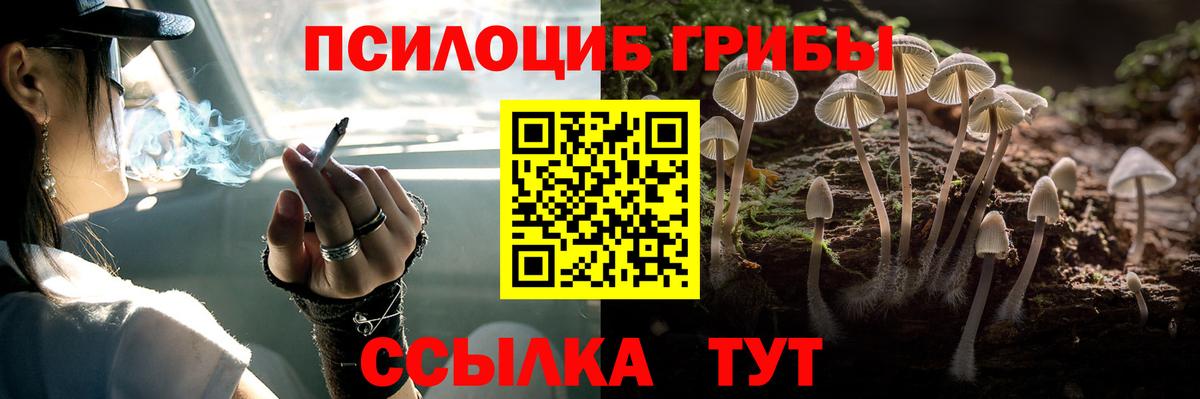 Галлюциногенные грибы Magic Shrooms Ногинск